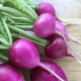 Amethyst Purple Radish Seeds