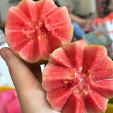 Semillas de guayaba rosa orgánica de guayaba tropical fresa