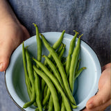 Bean, Pole Kentucky Blue