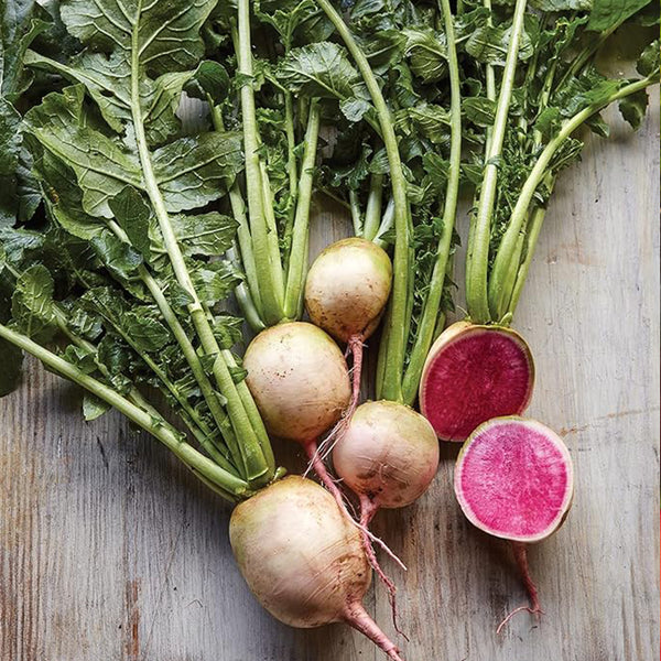 Watermelon Radish Seeds