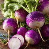Quick-Glow Radish Seeds