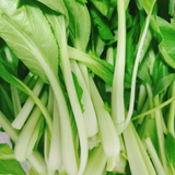 All Year Round Chicken Feather Vegetable Seeds