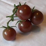 Tomate Cherry Negro Vegetal Para Plantar Sin OGM
