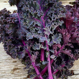 Red Russian Kale Seeds