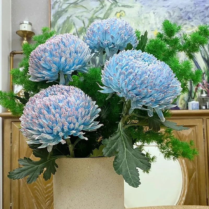 Rare Blue and White Porcelain Peony Chrysanthemum Seeds