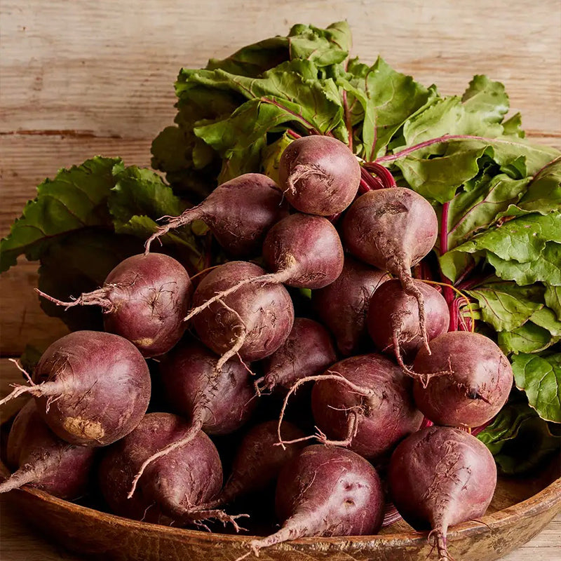 Remolacha, Detroit Rojo Oscuro Medio Superior