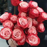 Garden of Dreams with Rare Color Varieties of Rose Seeds