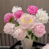 Colorful Peony Flower