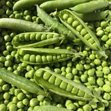 Crisp & Sweet Sugar Snap Pea Seeds