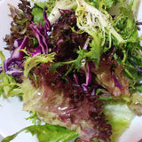 Antioxidant Ruby Leaf Lettuce Seeds