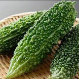 Semillas de hortalizas de calabaza amarga