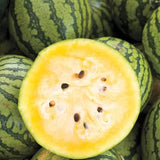 Yellow Crimson Watermelon Seeds