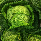 Heirloom Savoy Cabbage Seeds