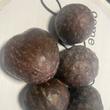 San Pablo Custard Apple Rare Fruit Seeds