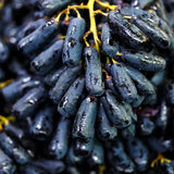 Black Finger Grape Seed Sweet Fruit Attract Butterflies and Bees