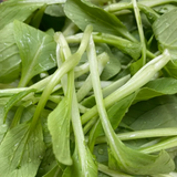 All Year Round Chicken Feather Vegetable Seeds