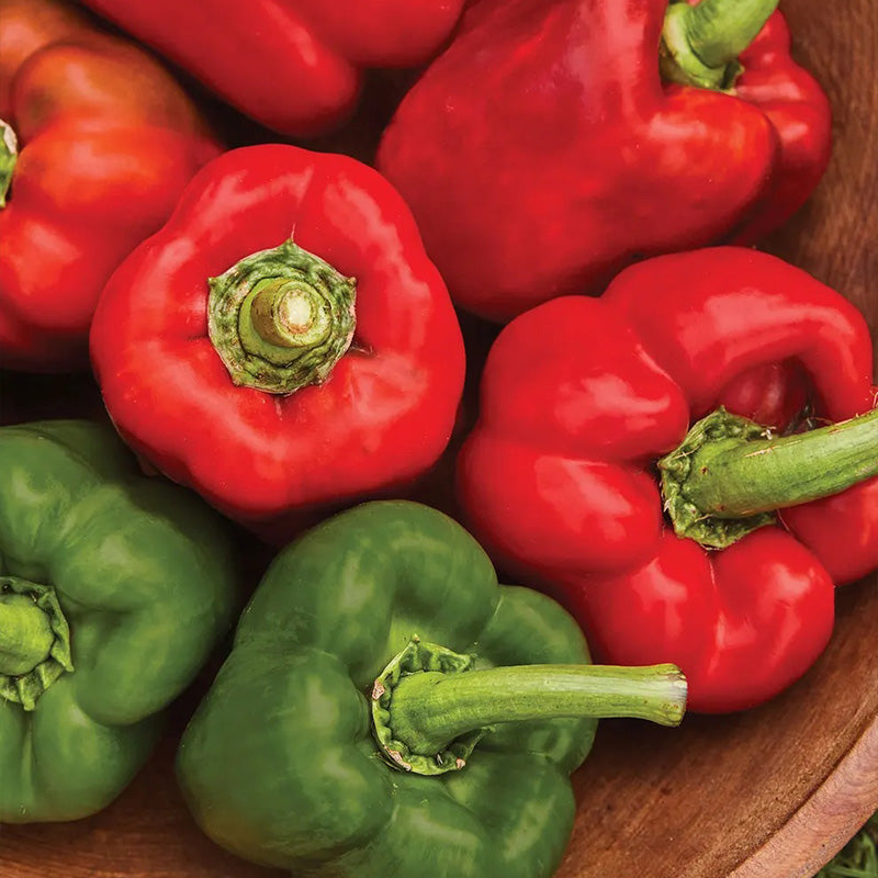 Pepper, Sweet, California Wonder