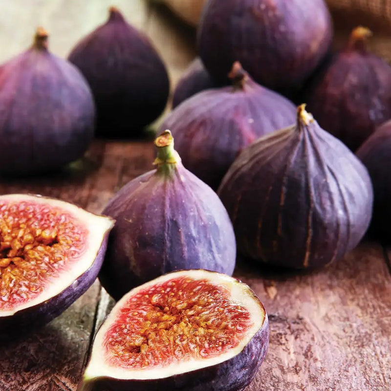 Fig, Violette de Bordeaux