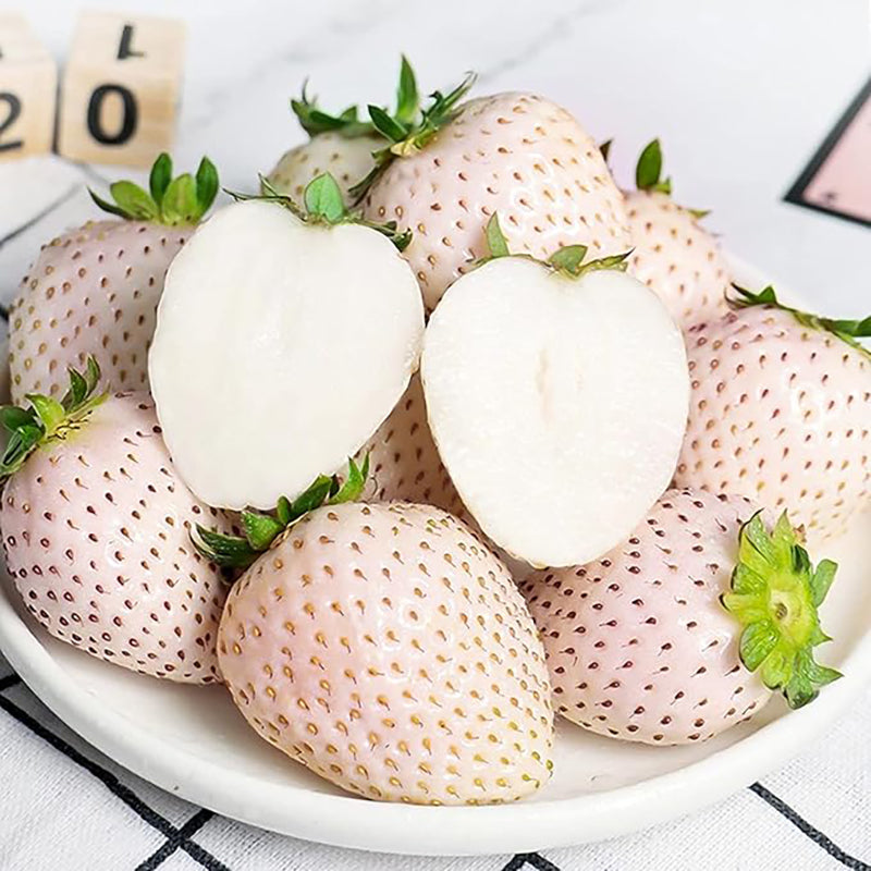 Mix Strawberry Seeds Red Yellow Blue White Climbing Strawberry