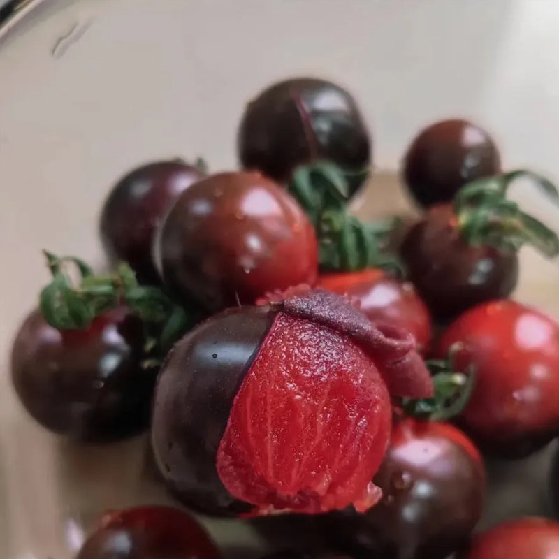 Tomate negro - Reina de belleza negra