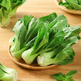 Premium Baby Bok Choy Seeds