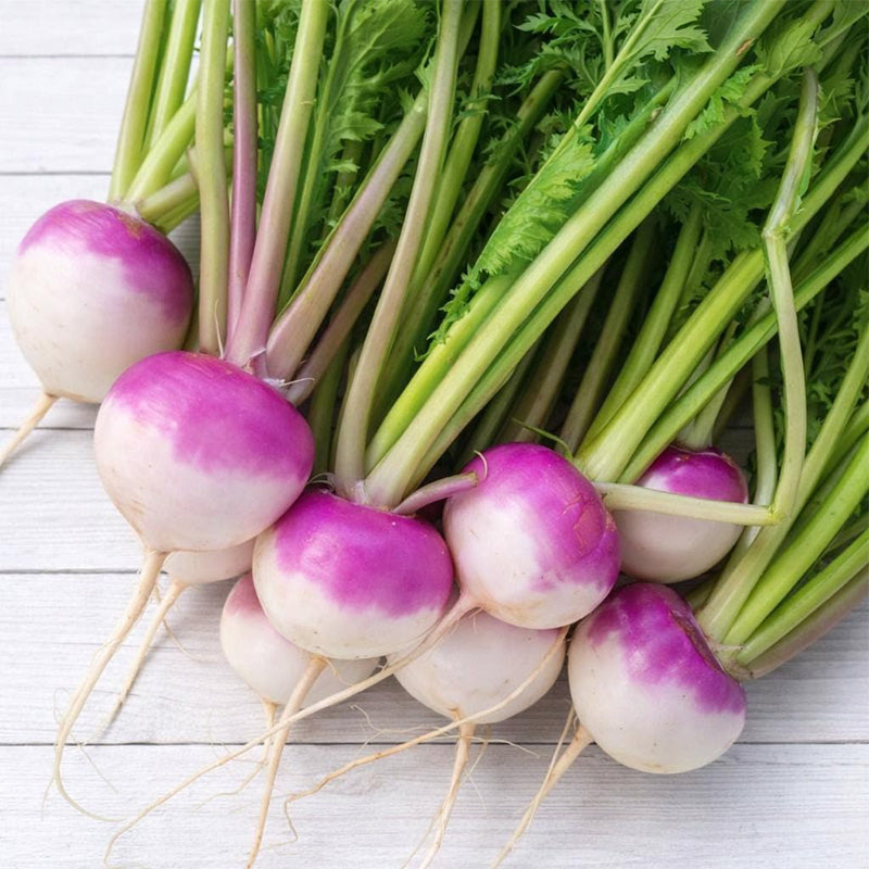 Quick-Glow Radish Seeds