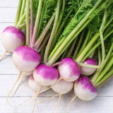 Quick-Glow Radish Seeds