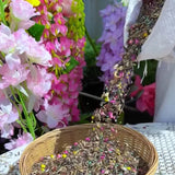 Semillas de flores perennes mixtas: más de 60 variedades mezcladas, fácil cuidado