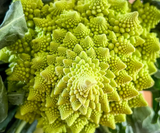 Roman Pagoda Cauliflower Seeds