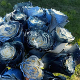 Rosa Galaxia Estrellada - Rosa Rara