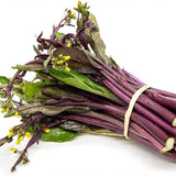 Semillas de col rizada china roja, semillas de hortalizas para emplatar