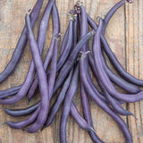 Frijol, arbusto, reina morada