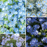 Exclusive Blue Wildflower Seed Mix