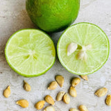 Key Lime Seeds for Planting Home Gardening, Rare Fruit Seeds