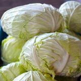 Crisp White-Hearted Cabbage Seeds