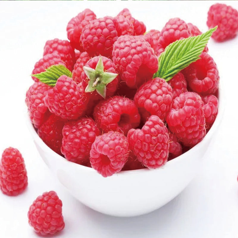 Everbearing Raspberry Organic Natural Seeds