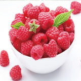 Everbearing Raspberry Organic Natural Seeds