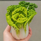 Heirloom Wrinkle-Leaf Bok Choy Seeds