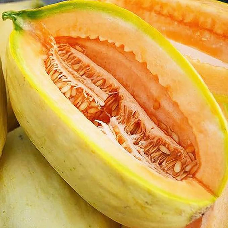 Rare Banana Melon Seed Exotic Charm Sweet Fruit  Unique Flavor