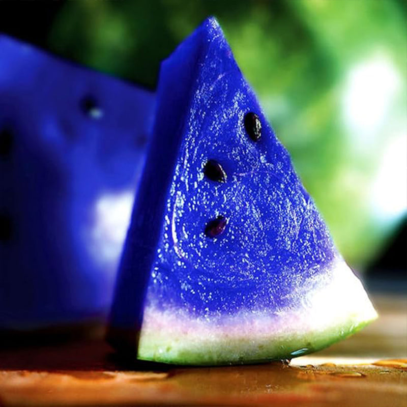 Semillas de sandía azul raras, frutas dulces y jugosas, alta tasa de germinación