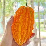 Semillas de uva Lai para el jardín Semillas de calabaza amarga