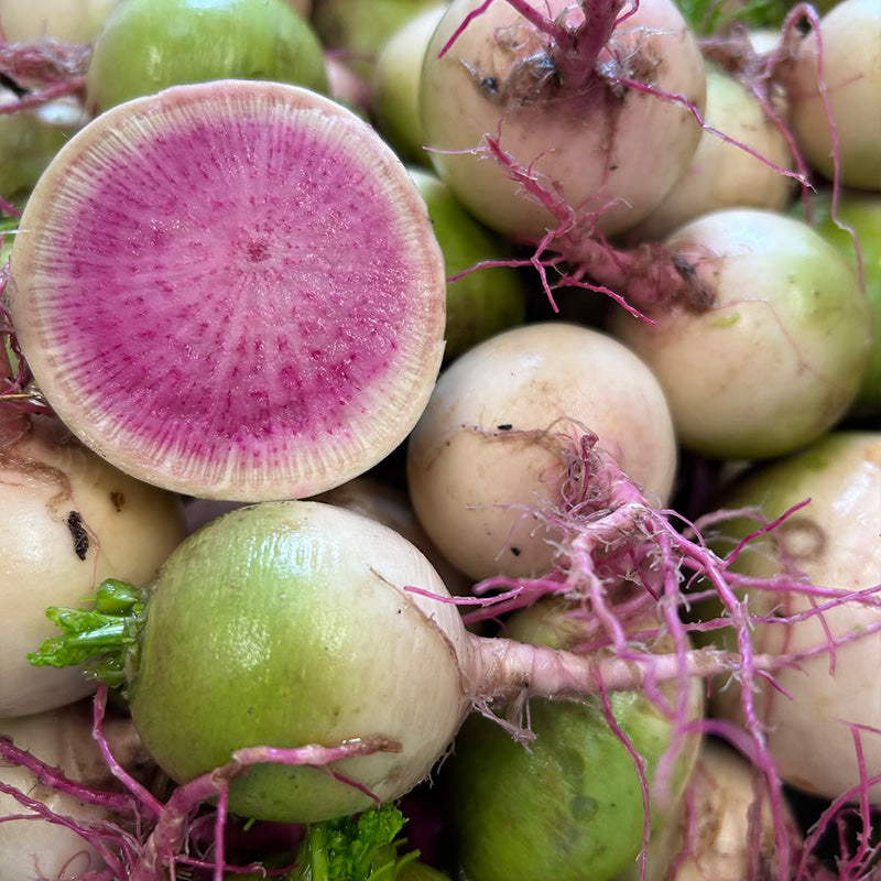 False-Watermelon Radish Seeds