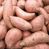 Semillas de batata Semillas de hortalizas dulces sin OGM Semillas de plantas para el jardín de casa para plantar