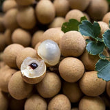 Semillas de fruta exótica rara de Longan enano Sri Chompoo, también conocido como Ojo de dragón