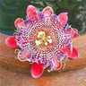 Egrow Passion Flower Seeds Garden Rare Passiflora Incarnata Fruit Plants Seeds