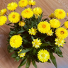 Straw Chrysanthemum
