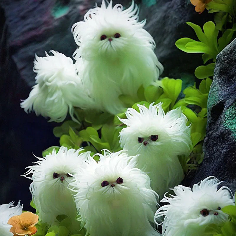 Cat's eye flower dazzle-long hair curly white flower