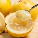 Golden Fruit Seeds Abiu Fruit Pouteria Caimito