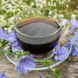 Perennial Chicory Flower Seeds for Planting