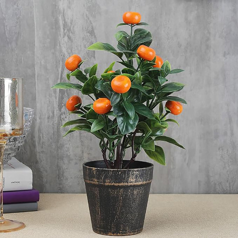Semillas de árbol de naranja Bonsai Fruta dulce deliciosa Jugosa Hermosas plantas en macetas Sabor robusto Fácil cuidado